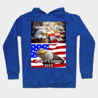 The Great Balled Oogle Meme Hoodie